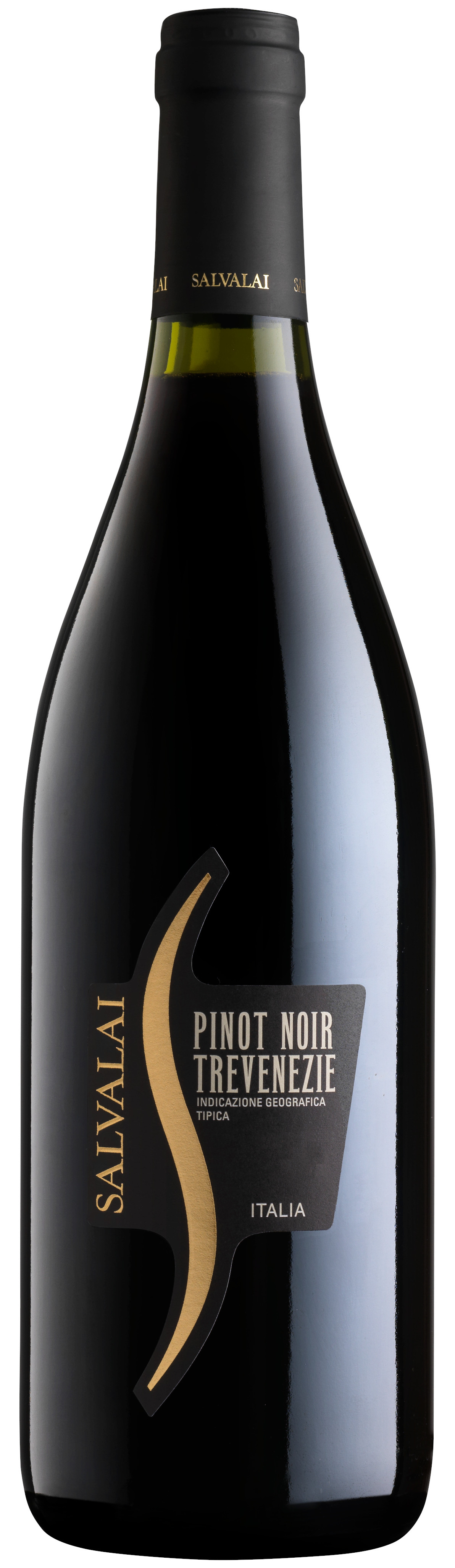 Cantine Salvalai - Pinot Noir Venezie 2019                  