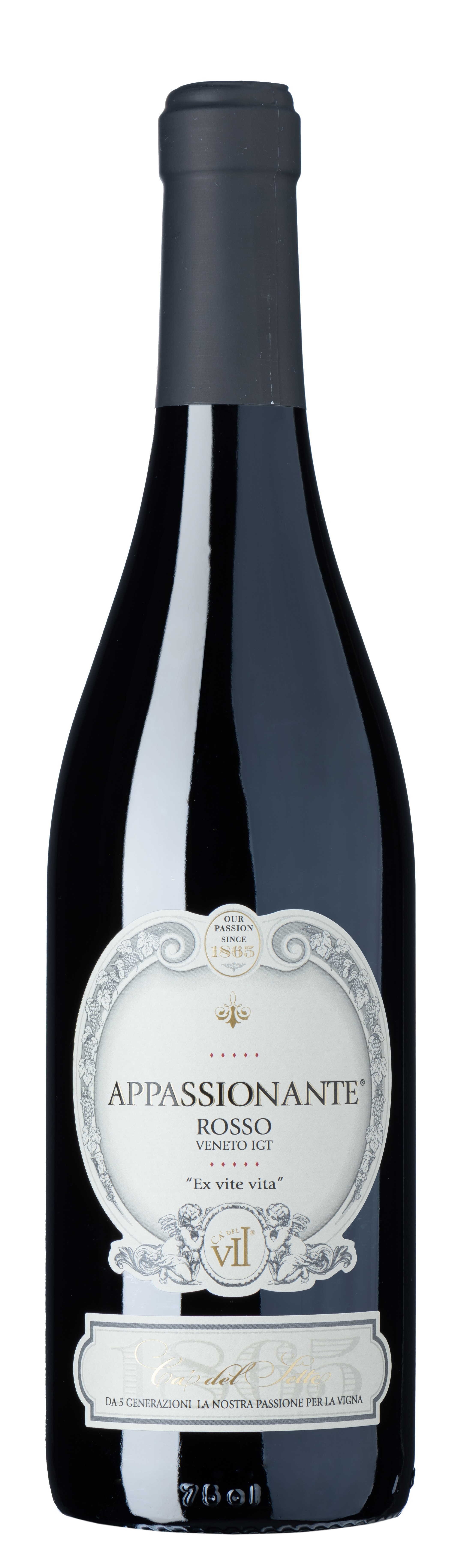 Cà del Sette - Appassionante "Ex vite vita" 2017            